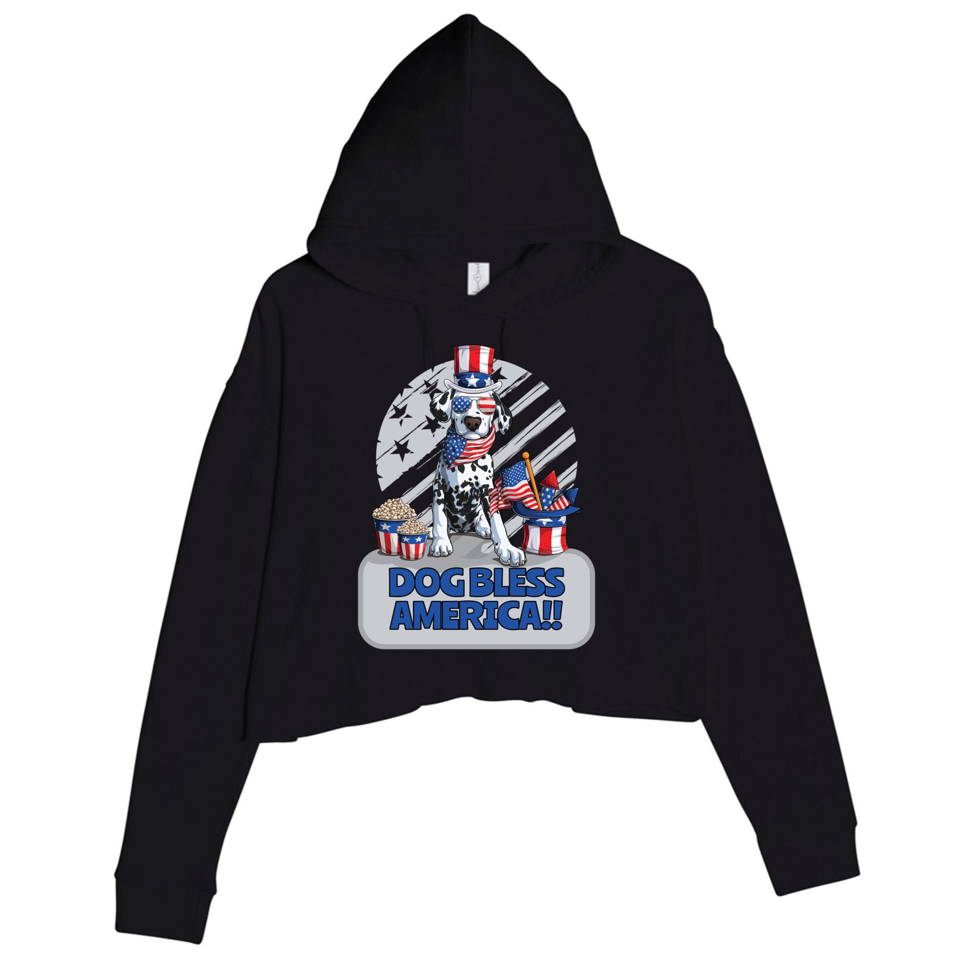 Dog Bless America 4th Of July Dalmation Patriotic Usa Gift Crop Fleece Hoodie
