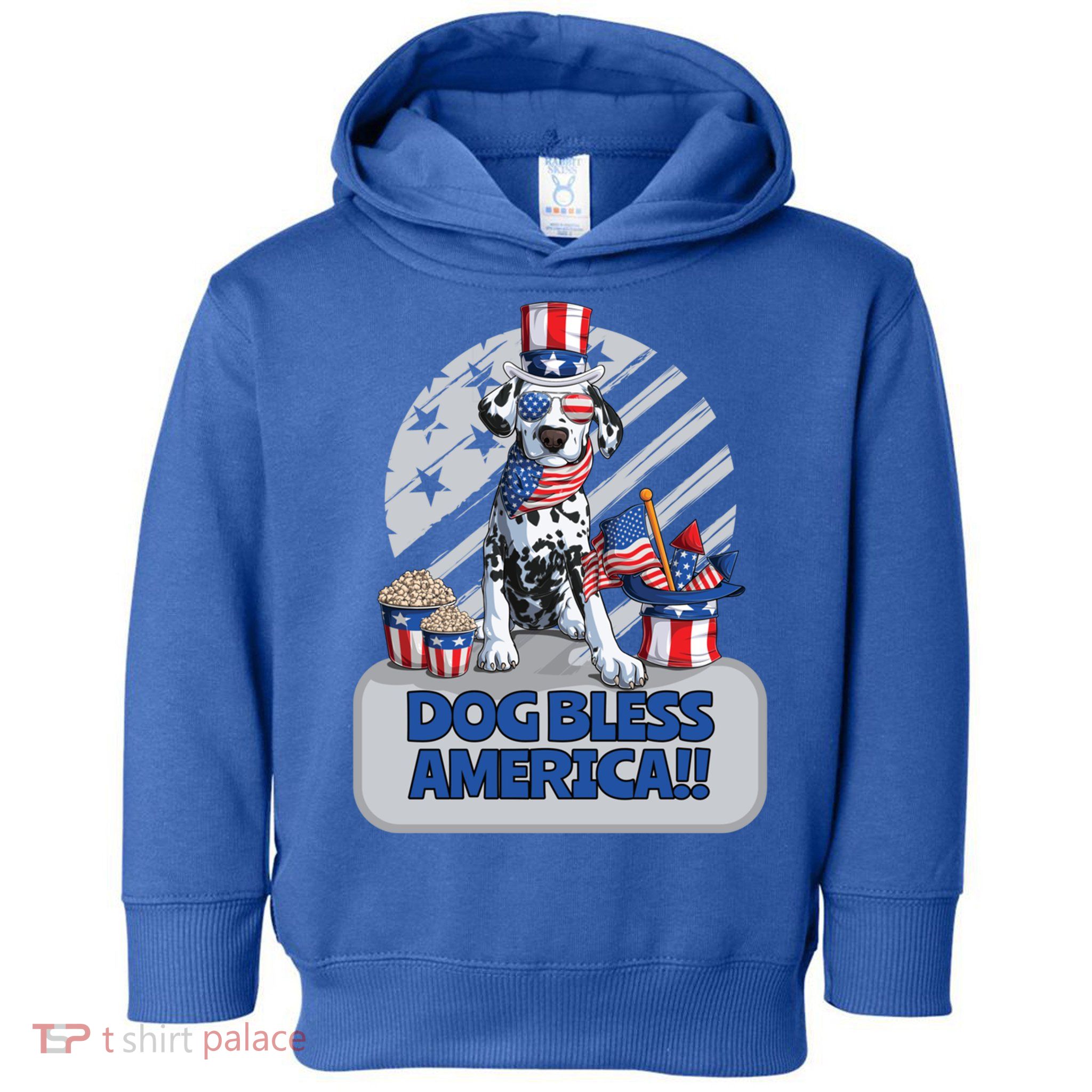 Dog Bless America 4th Of July Dalmation Patriotic Usa Gift Toddler Hoodie