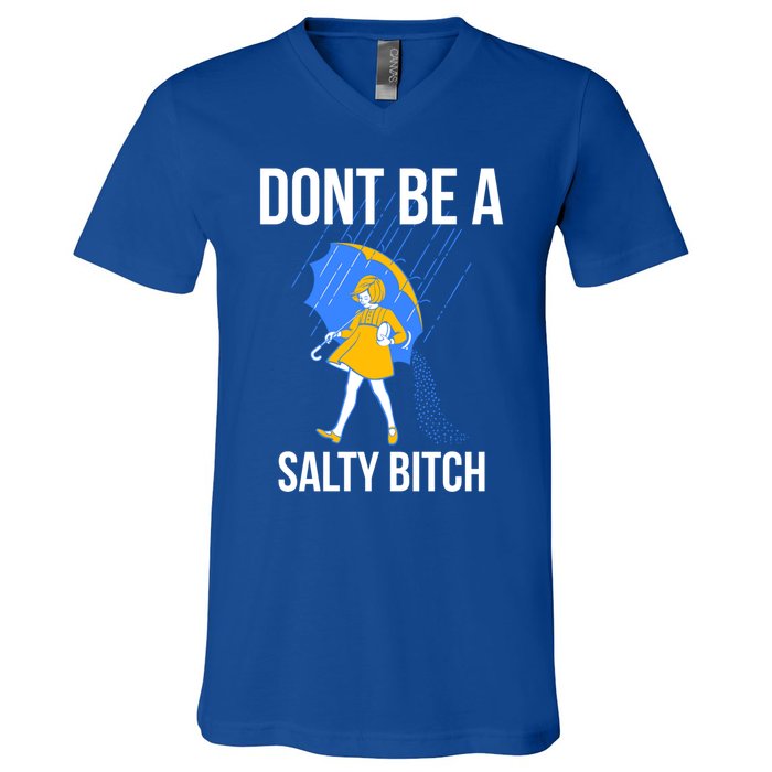 Dont Be A Salty Gift V-Neck T-Shirt