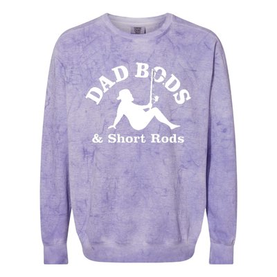 Dad Bods And Short Rods Funny Man Fishing Lovers Colorblast Crewneck Sweatshirt