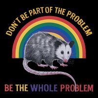 DonT Be A Part Of The Problem Be The Whole Problem 16 in Basic Backpack