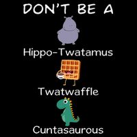 DonT Be A Hippotwatamus Twatwaffle Cuntasaurous Flat Bill Trucker Hat