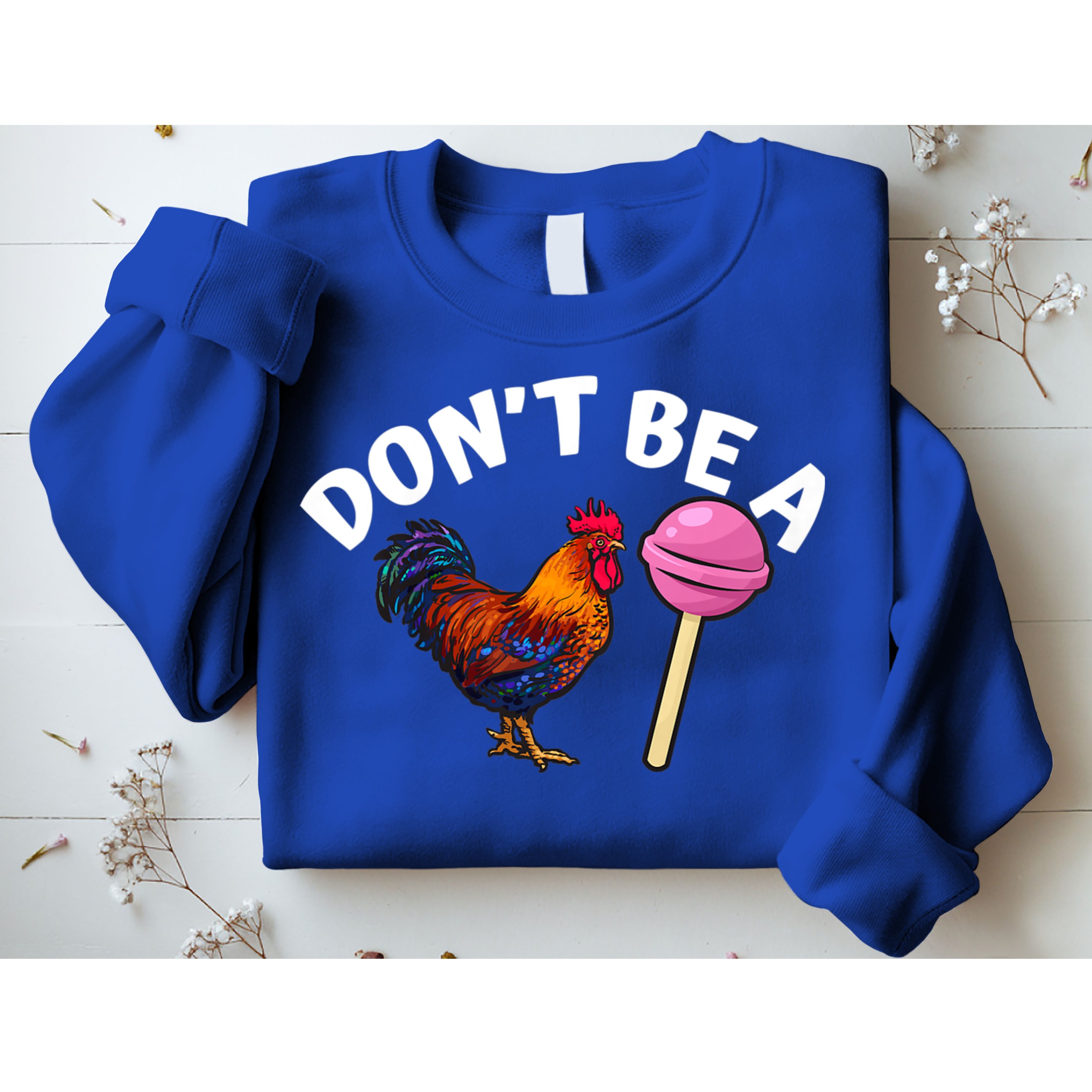 Dont Be A Cock Sucker Funny Sweatshirt