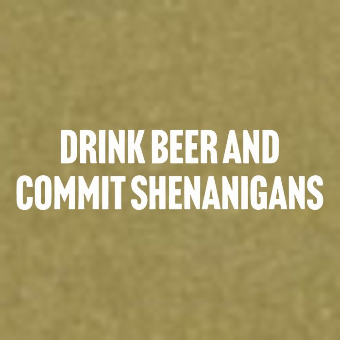Drink Beer And Commit Shenanigans Garment-Dyed Women's Muscle Tee