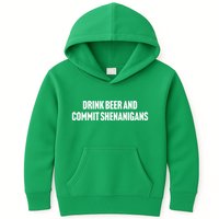 Drink Beer And Commit Shenanigans Kids Hoodie