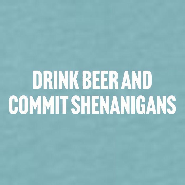 Drink Beer And Commit Shenanigans Sueded Cloud Jersey T-Shirt