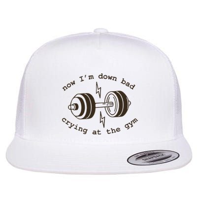 Down Bad Crying At The Gym Flatbill Hat