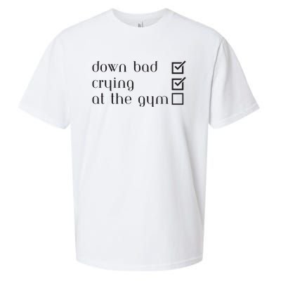 Down Bad Crying At The Gym Sueded Cloud Jersey T-Shirt