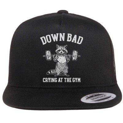 Down Bad Crying At The Gym Racoon Meme Flat Bill Trucker Hat