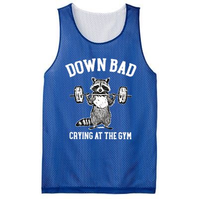 Down Bad Crying At Gym Funny Raccoon Lover Fan Gift Funny Gift Mesh Reversible Basketball Jersey Tank