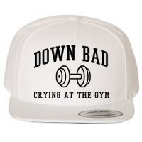 Down Bad Crying At The Gym Funny Wool Snapback Cap
