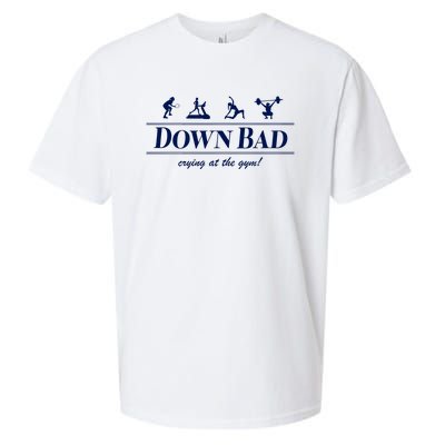 Down Bad Crying At The Gym Sueded Cloud Jersey T-Shirt