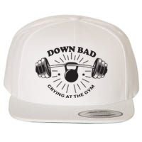 Down Bad Crying At The Gym Wool Snapback Cap