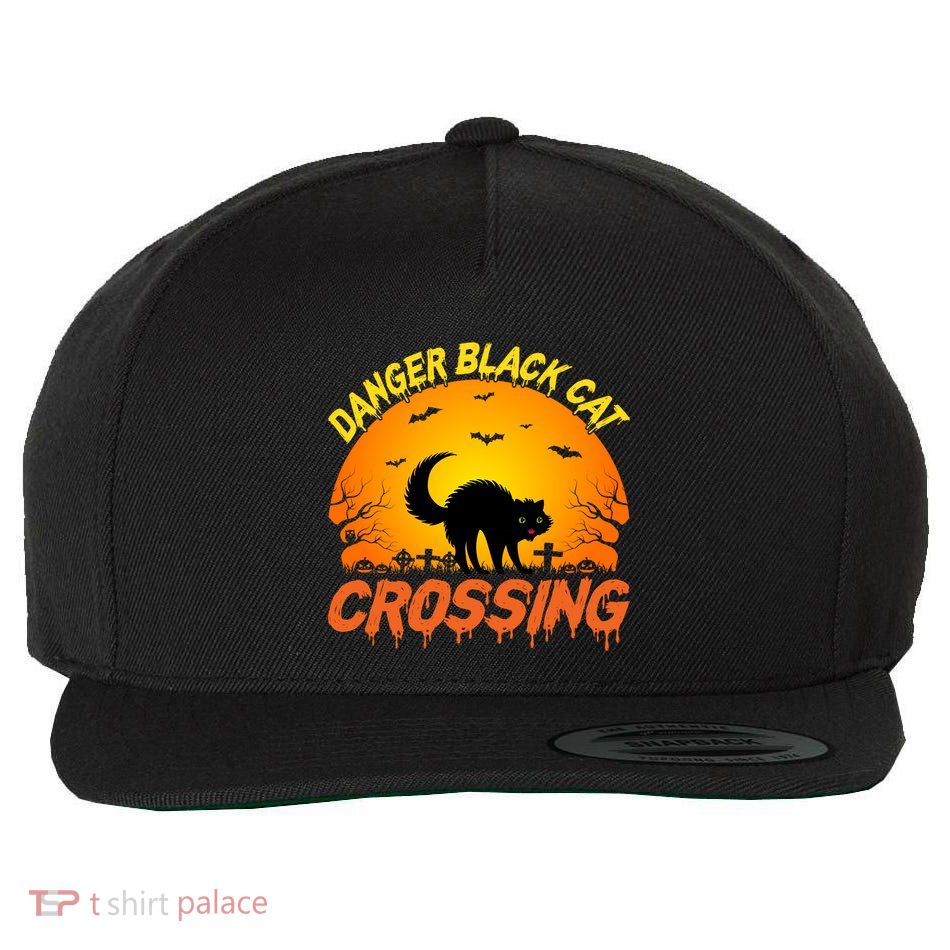Danger Black Cat Crossing Halloween Costume Cute Gift Wool Snapback Cap