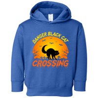 Danger Black Cat Crossing Halloween Costume Cute Gift Toddler Hoodie