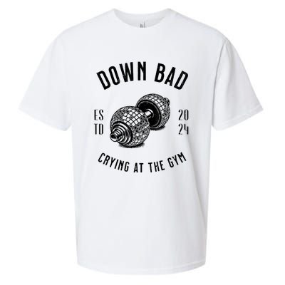 Down Bad Crying At The Gym Sueded Cloud Jersey T-Shirt