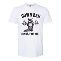 Down Bad Crying At The Gym Racoon Meme Ttpd Softstyle CVC T-Shirt