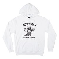 Down Bad Crying At The Gym Racoon Meme Ttpd Hoodie