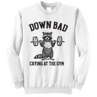 Down Bad Crying At The Gym Racoon Meme Ttpd Sweatshirt