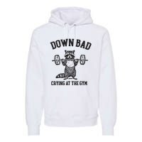 Down Bad Crying At The Gym Racoon Meme Ttpd Premium Hoodie