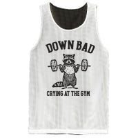 Down Bad Crying At The Gym Racoon Meme Ttpd Mesh Reversible Basketball Jersey Tank