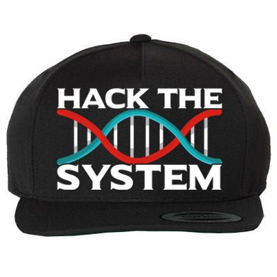 Diy Biology Dna Double Helix Hack The System Biohacker Gift Wool Snapback Cap