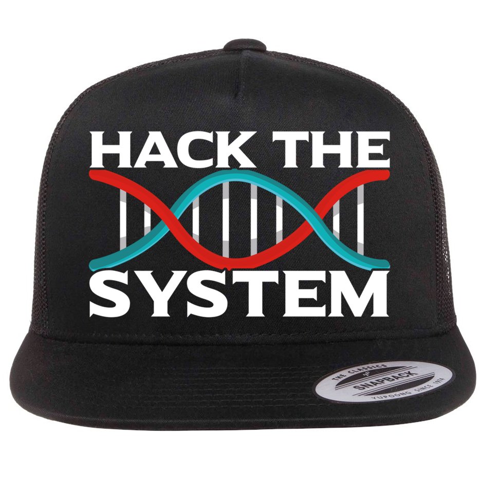 Diy Biology Dna Double Helix Hack The System Biohacker Gift Flatbill Hat