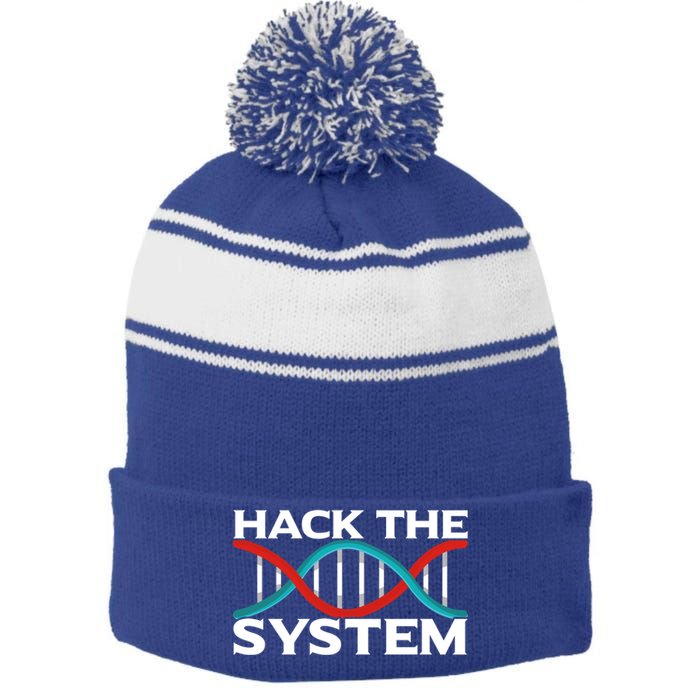 Diy Biology Dna Double Helix Hack The System Biohacker Gift Stripe Pom Pom Beanie