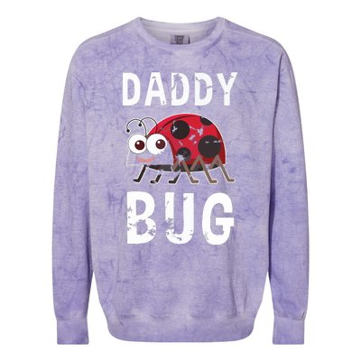 Daddy Bug Funny Ladybug Lover Cute Dad Fathers Day Gift Colorblast Crewneck Sweatshirt