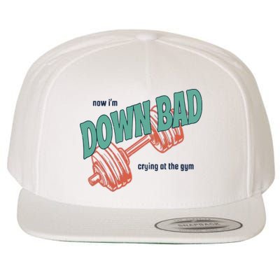 Down Bad Funny Crying At The Gym Wool Snapback Cap