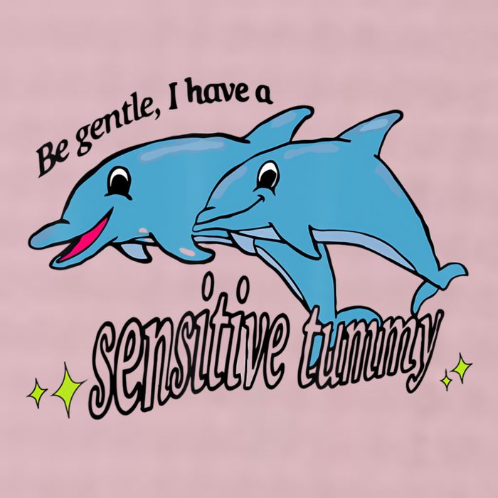 Dolphin Be Gentle I Have A Sensitive Tummy Funny Dolphin 25L Jumbo Tote