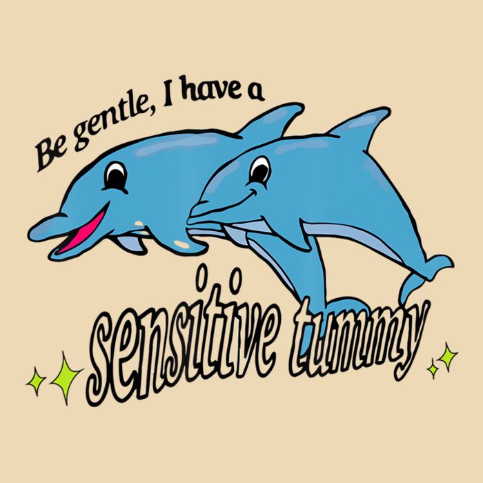 Dolphin Be Gentle I Have A Sensitive Tummy Funny Dolphin Bag
