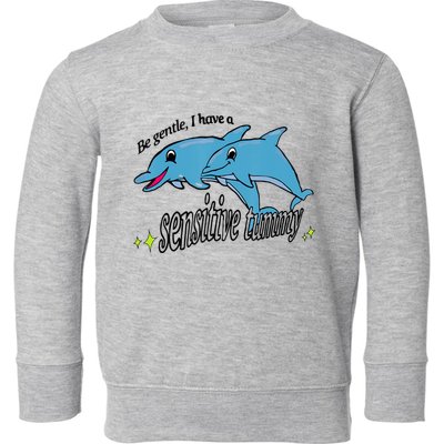 Dolphin Be Gentle I Have A Sensitive Tummy Funny Dolphin Toddler Sweatshirt