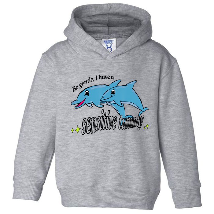 Dolphin Be Gentle I Have A Sensitive Tummy Funny Dolphin Toddler Hoodie