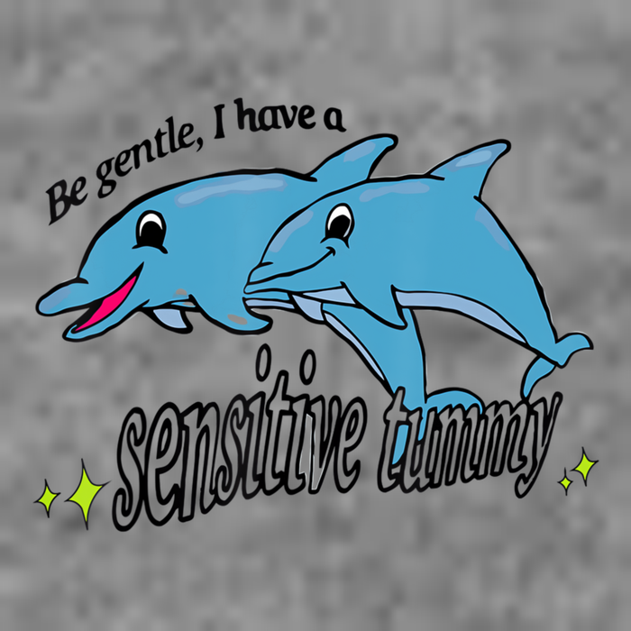 Dolphin Be Gentle I Have A Sensitive Tummy Funny Dolphin Toddler Hoodie