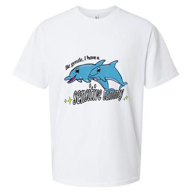 Dolphin Be Gentle I Have A Sensitive Tummy Funny Dolphin Sueded Cloud Jersey T-Shirt