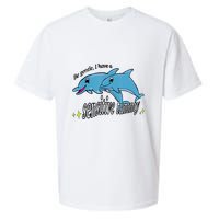 Dolphin Be Gentle I Have A Sensitive Tummy Funny Dolphin Sueded Cloud Jersey T-Shirt