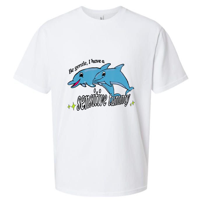 Dolphin Be Gentle I Have A Sensitive Tummy Funny Dolphin Sueded Cloud Jersey T-Shirt