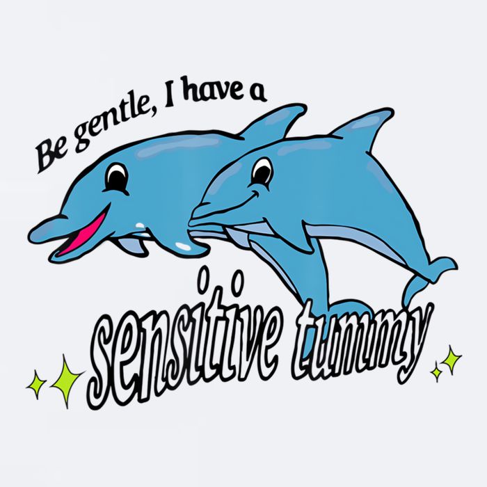 Dolphin Be Gentle I Have A Sensitive Tummy Funny Dolphin Sueded Cloud Jersey T-Shirt