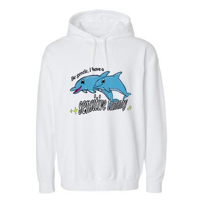Dolphin Be Gentle I Have A Sensitive Tummy Funny Dolphin Garment-Dyed Fleece Hoodie