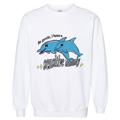 Dolphin Be Gentle I Have A Sensitive Tummy Funny Dolphin Garment-Dyed Sweatshirt