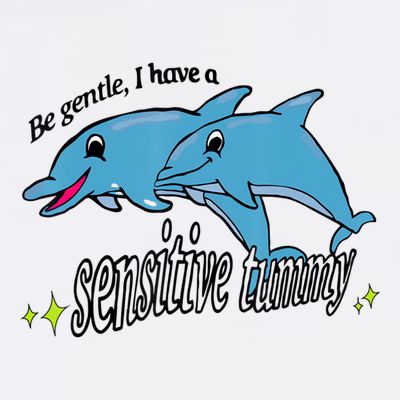 Dolphin Be Gentle I Have A Sensitive Tummy Funny Dolphin T-Shirt
