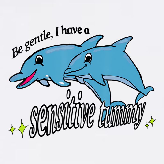 Dolphin Be Gentle I Have A Sensitive Tummy Funny Dolphin Button