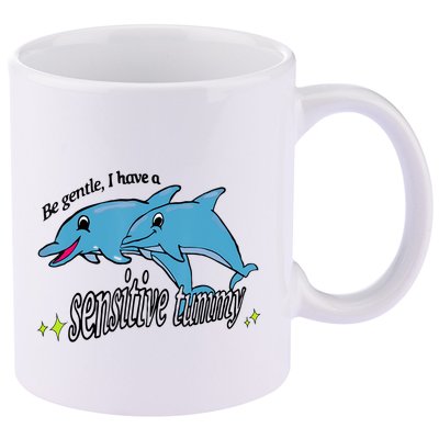 Dolphin Be Gentle I Have A Sensitive Tummy Funny Dolphin 11oz C Handle Ceramic Mug