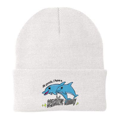 Dolphin Be Gentle I Have A Sensitive Tummy Funny Dolphin Beanie