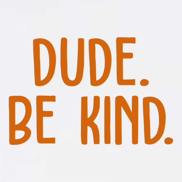 Dude Be Kind Anti Bully Wool Snapback Cap