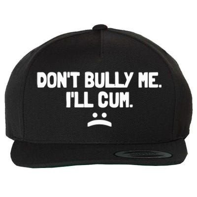 Don't Bully Me I'll Cum Funny Saying Wool Snapback Cap