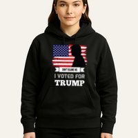 Dont Blame Me I Voted For Trump Distressed Vintage Flag Hoodie