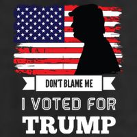 Dont Blame Me I Voted For Trump Distressed Vintage Flag Trucker Hat