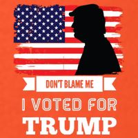 Dont Blame Me I Voted For Trump Distressed Vintage Flag T-Shirt